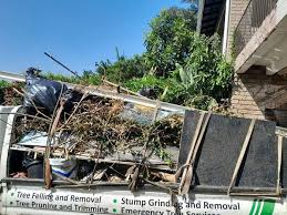 Shed Removal in Borden, IN
