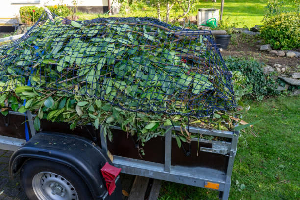 Best Shed Removal  in Borden, IN